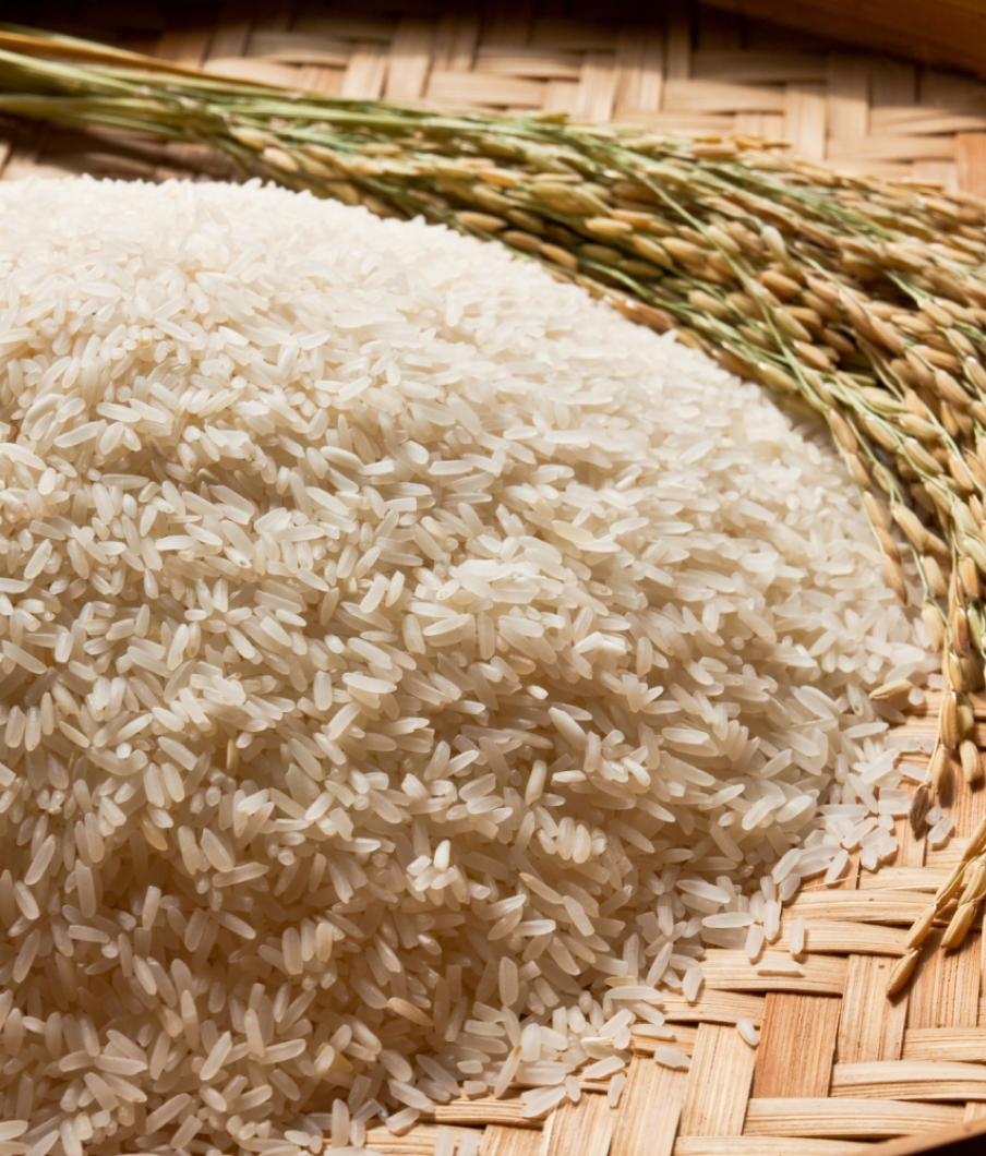 Thooyamalli - Metabolism & Bone Wellness