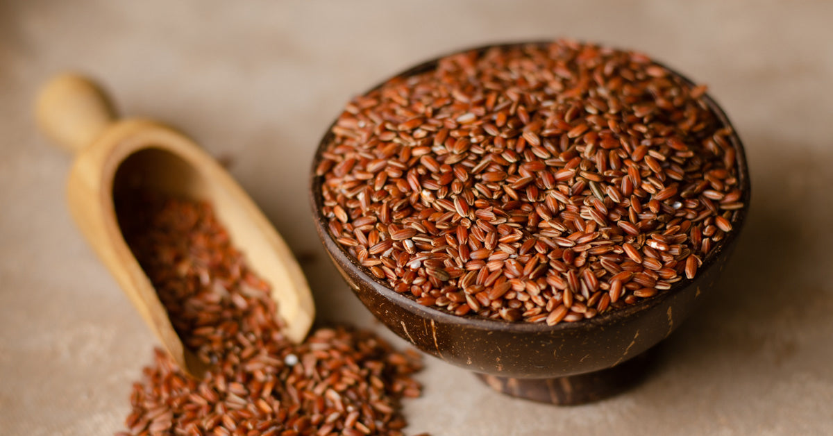 पुंगर - महिलांचे जीवनशक्ती