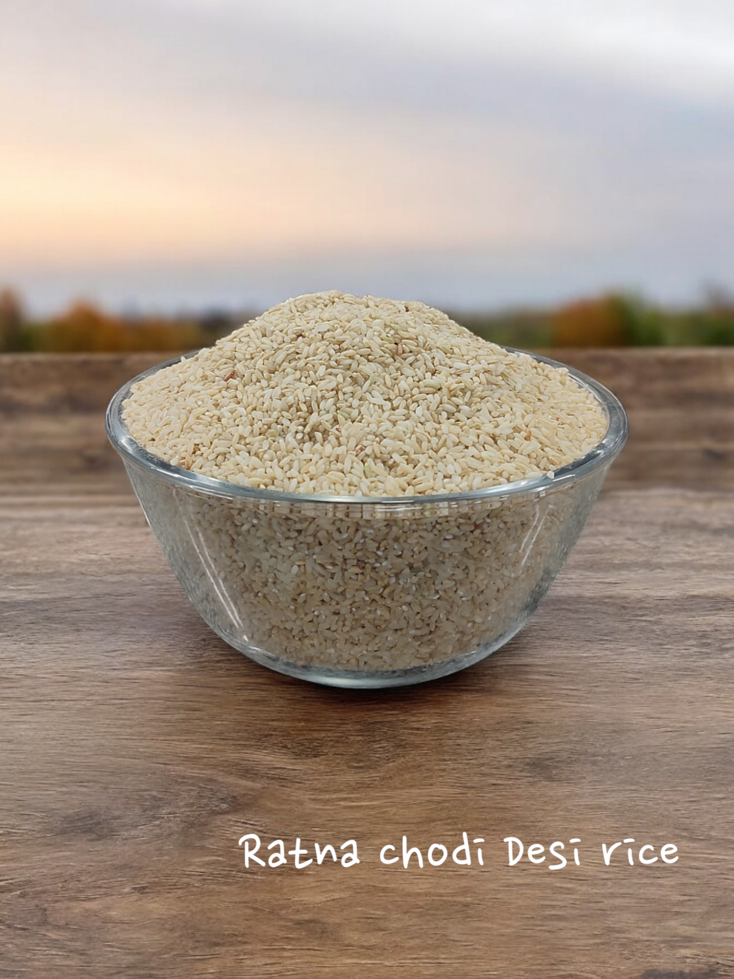 Ratnachudi - Energy & Digestive Wellness